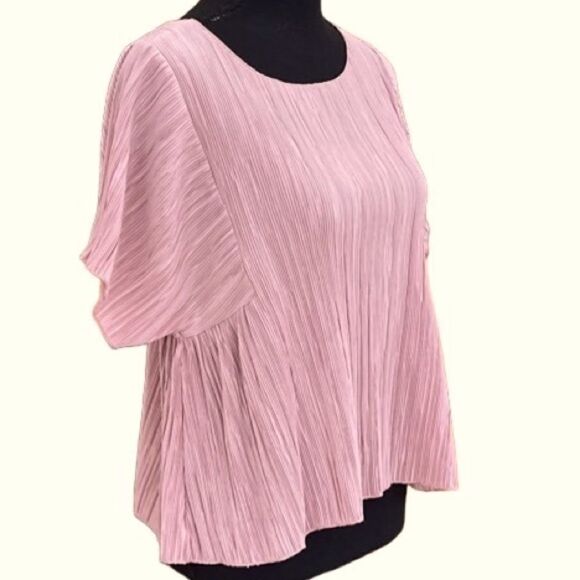MADEWELL Mauve Texture & Thread Micropleat Short Sleeve Boxy Top Size Small - Picture 8 of 9